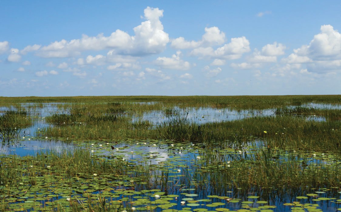 The U.S. Army Corps of Engineers, Jacksonville District will announce the Preferred Alternative for the Lake Okeechobee System Operating Manual (LOSOM)